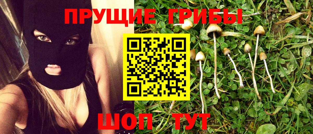 Нижнеудинск  Галлюциногенные грибы Cubensis  Галлюциногенные грибы мухоморы  Вход с VPN 