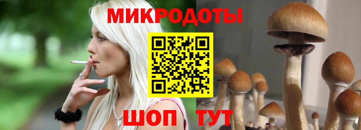 Галлюциногенные грибы Cubensis Нижнеудинск